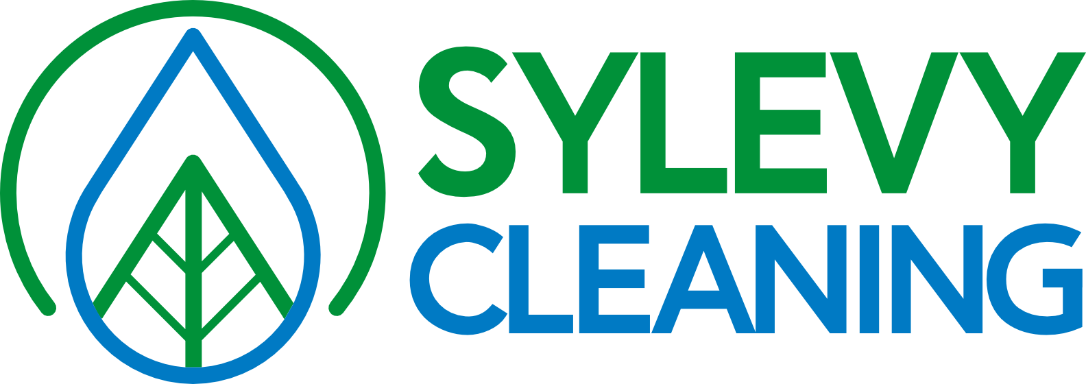 Sylevy Cleaning
